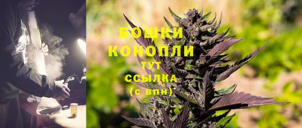 молекула духа Аркадак